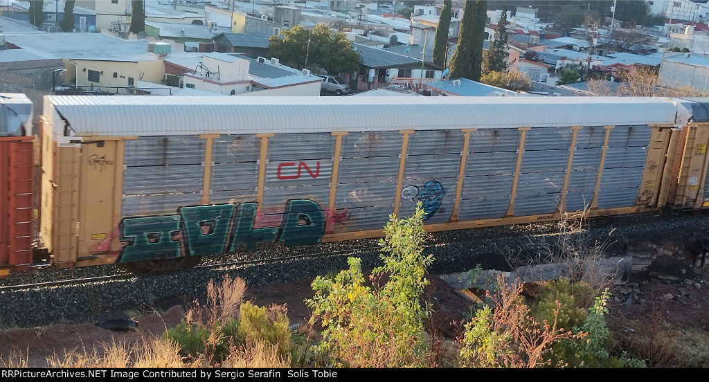 CN 710800